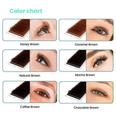 Close-up of eyes displaying the outcome of 6 brown shades: honey, caramel, natural, mocha, coffee, and chocolate